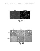 CNS DELIVERY OF THERAPEUTIC AGENTS diagram and image