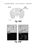 CNS DELIVERY OF THERAPEUTIC AGENTS diagram and image