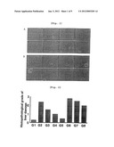 PHARMACEUTICAL COMPOSITION CONTAINING ARAZYME FOR THE PREVENTION OF LIVER     DYSFUNCTION diagram and image