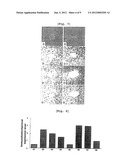 PHARMACEUTICAL COMPOSITION CONTAINING ARAZYME FOR THE PREVENTION OF LIVER     DYSFUNCTION diagram and image