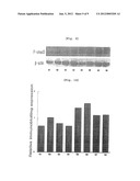 PHARMACEUTICAL COMPOSITION CONTAINING ARAZYME FOR THE PREVENTION OF LIVER     DYSFUNCTION diagram and image