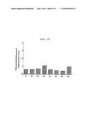 PHARMACEUTICAL COMPOSITION CONTAINING ARAZYME FOR THE PREVENTION OF LIVER     DYSFUNCTION diagram and image