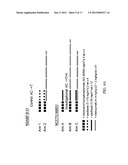 HERCEPTIN.RTM. ADUVANT THERAPY diagram and image