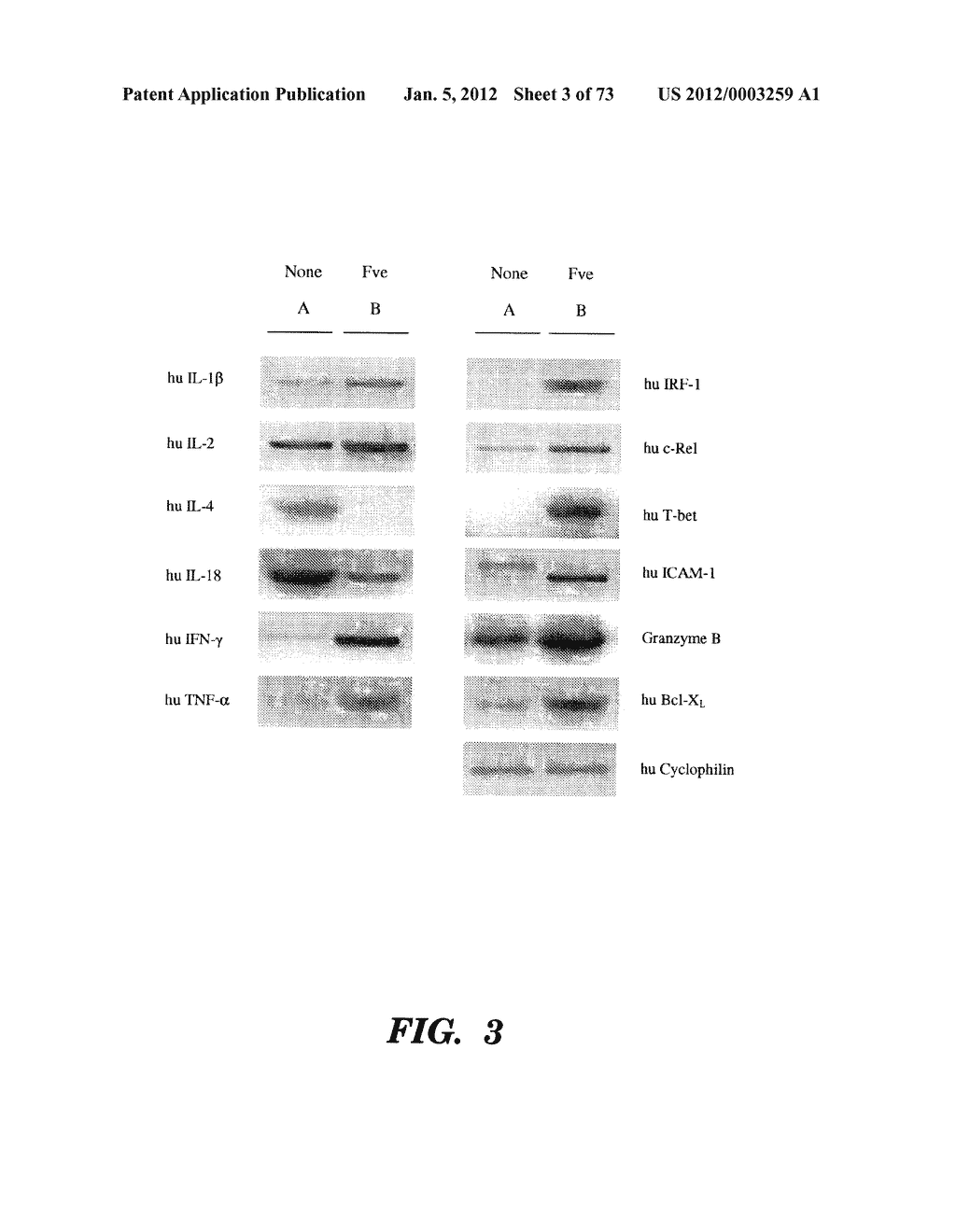 MOLECULE - diagram, schematic, and image 04