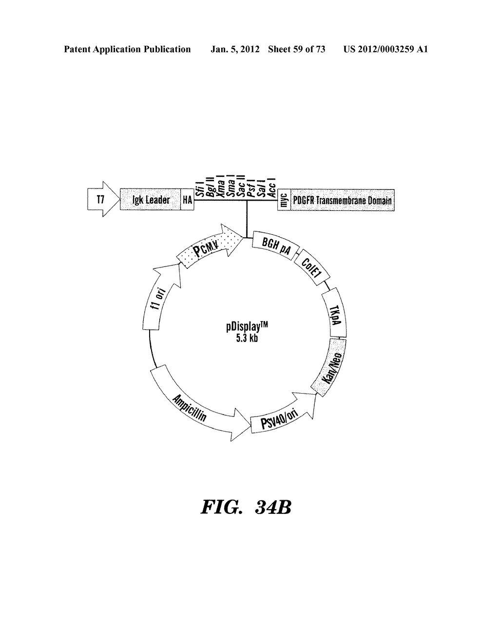 MOLECULE - diagram, schematic, and image 60