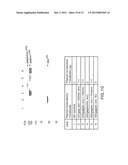 IMMUNOGENIC COMPOSITIONS FOR INDUCING AN IMMUNE RESPONSE TO HIV diagram and image