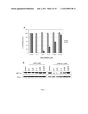 SINGLE-WALLED CARBON NANOTUBE/SIRNA COMPLEXES AND METHODS RELATED THERETO diagram and image