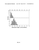 SINGLE-WALLED CARBON NANOTUBE/SIRNA COMPLEXES AND METHODS RELATED THERETO diagram and image