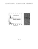 SINGLE-WALLED CARBON NANOTUBE/SIRNA COMPLEXES AND METHODS RELATED THERETO diagram and image