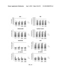 SINGLE-WALLED CARBON NANOTUBE/SIRNA COMPLEXES AND METHODS RELATED THERETO diagram and image