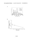 SINGLE-WALLED CARBON NANOTUBE/SIRNA COMPLEXES AND METHODS RELATED THERETO diagram and image