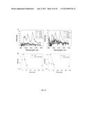 SINGLE-WALLED CARBON NANOTUBE/SIRNA COMPLEXES AND METHODS RELATED THERETO diagram and image