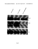 SINGLE-WALLED CARBON NANOTUBE/SIRNA COMPLEXES AND METHODS RELATED THERETO diagram and image