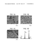 CERAMIC/STRUCTURAL PROTEIN COMPOSITES AND METHOD OF PREPARATION THEREOF diagram and image