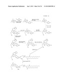 METHODS FOR INDUCING AN IMMUNE RESPONSE diagram and image