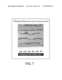 PHARMACEUTICAL COMPOSITION FOR TREATING OR RELEIVING INFLAMMATORY BOWEL     DISEASE diagram and image