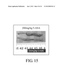 PHARMACEUTICAL COMPOSITION FOR TREATING OR RELEIVING INFLAMMATORY BOWEL     DISEASE diagram and image