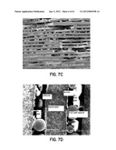 FUEL CELL DEVICE AND SYSTEM diagram and image