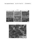 ANODE-SUPPORTED SOLID OXIDE FUEL CELL COMPRISING A NANOPOROUS LAYER HAVING     A PORE GRADIENT STRUCTURE, AND A PRODUCTION METHOD THEREFOR diagram and image