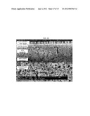 ANODE-SUPPORTED SOLID OXIDE FUEL CELL COMPRISING A NANOPOROUS LAYER HAVING     A PORE GRADIENT STRUCTURE, AND A PRODUCTION METHOD THEREFOR diagram and image