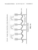 METHODS AND KITS FOR DETECTING AN INFECTIOUS AGENT diagram and image