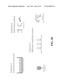 METHODS AND KITS FOR DETECTING AN INFECTIOUS AGENT diagram and image