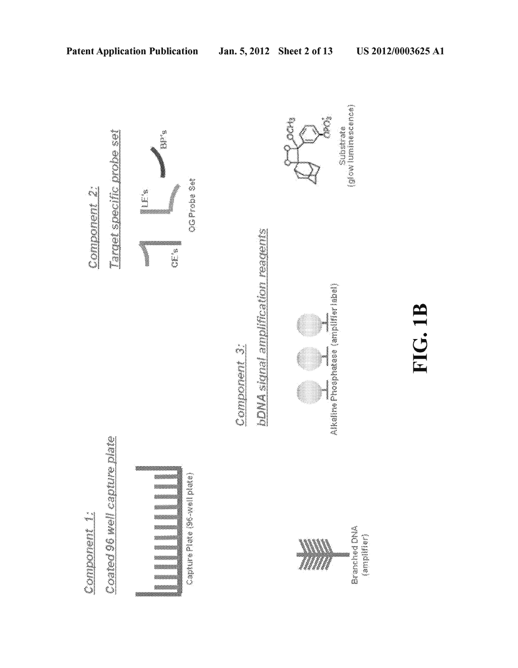 METHODS AND KITS FOR DETECTING AN INFECTIOUS AGENT - diagram, schematic, and image 03