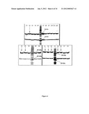 Portable Fluorescence Reader Device diagram and image