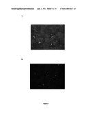 Portable Fluorescence Reader Device diagram and image