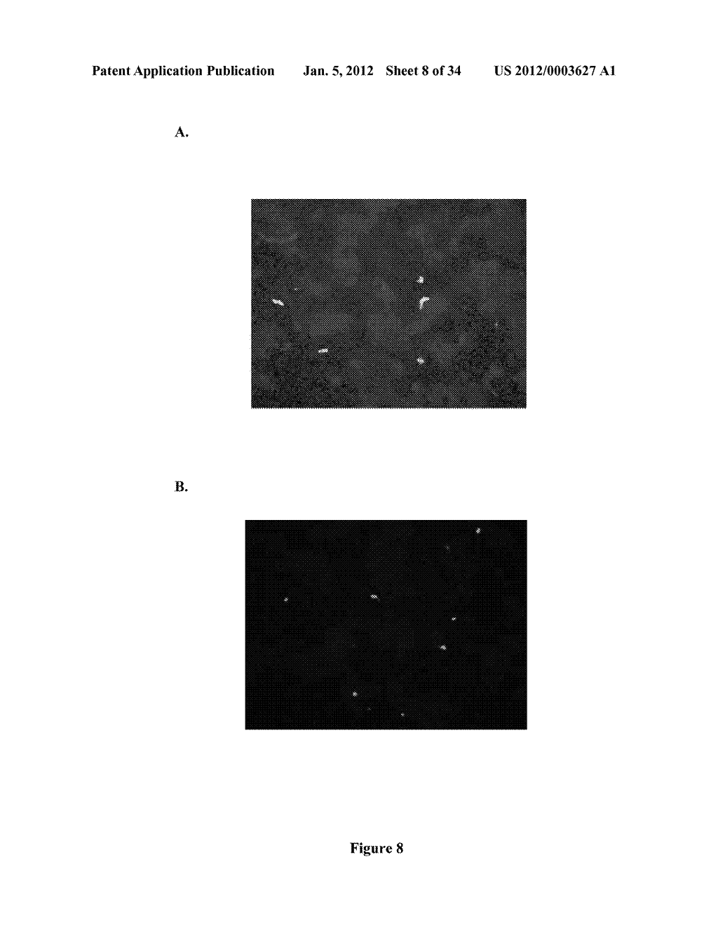 Portable Fluorescence Reader Device - diagram, schematic, and image 09