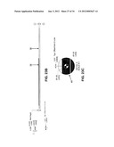 Portable Fluorescence Reader Device diagram and image