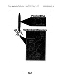 Biological control of nanoparticle nucleation, shape and crystal phase diagram and image