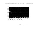 Biological control of nanoparticle nucleation, shape and crystal phase diagram and image