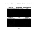 Biological control of nanoparticle nucleation, shape and crystal phase diagram and image