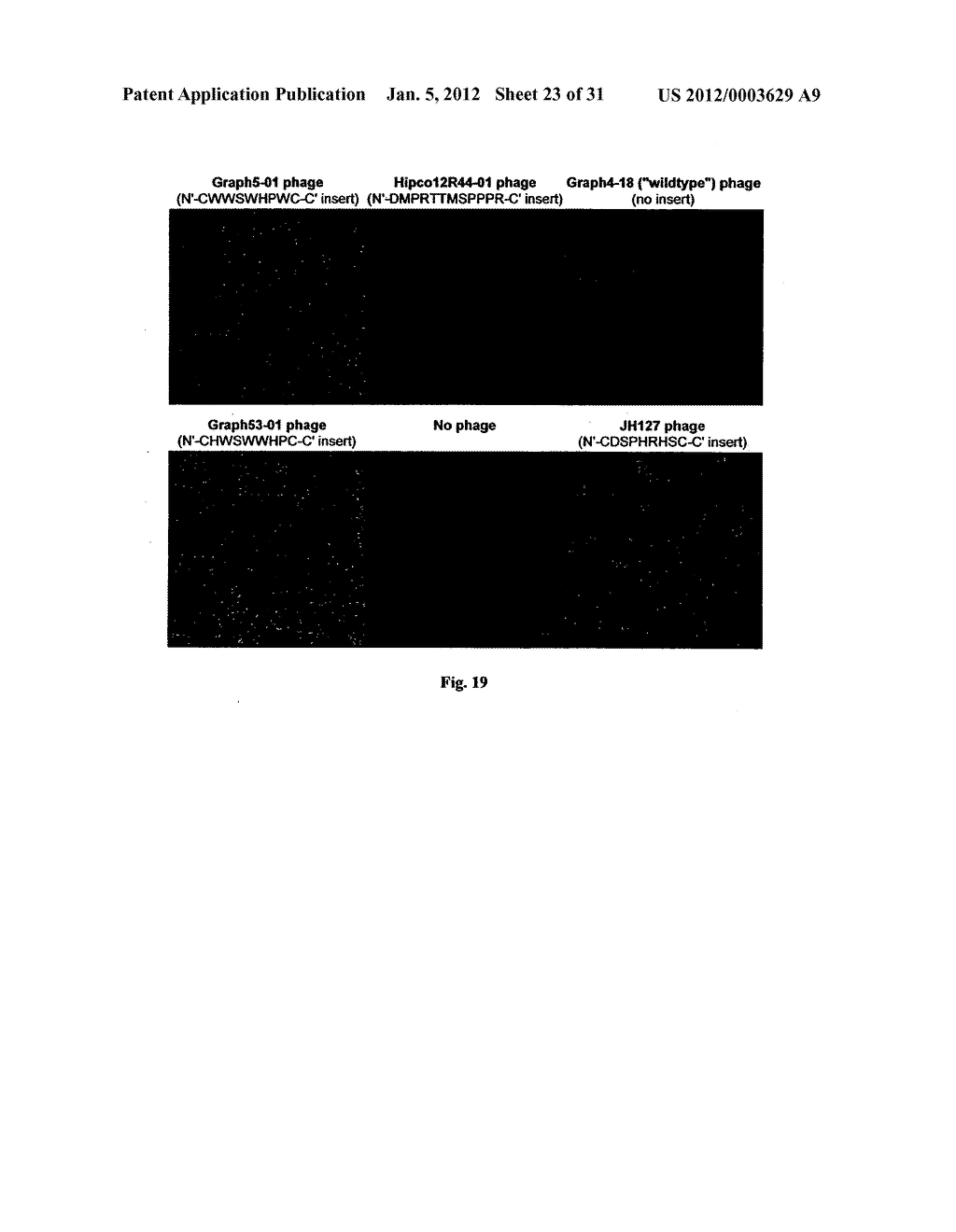 Biological control of nanoparticle nucleation, shape and crystal phase - diagram, schematic, and image 24