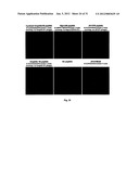 Biological control of nanoparticle nucleation, shape and crystal phase diagram and image