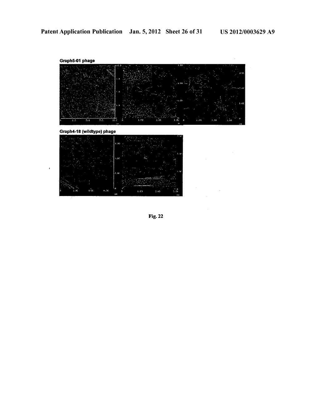 Biological control of nanoparticle nucleation, shape and crystal phase - diagram, schematic, and image 27