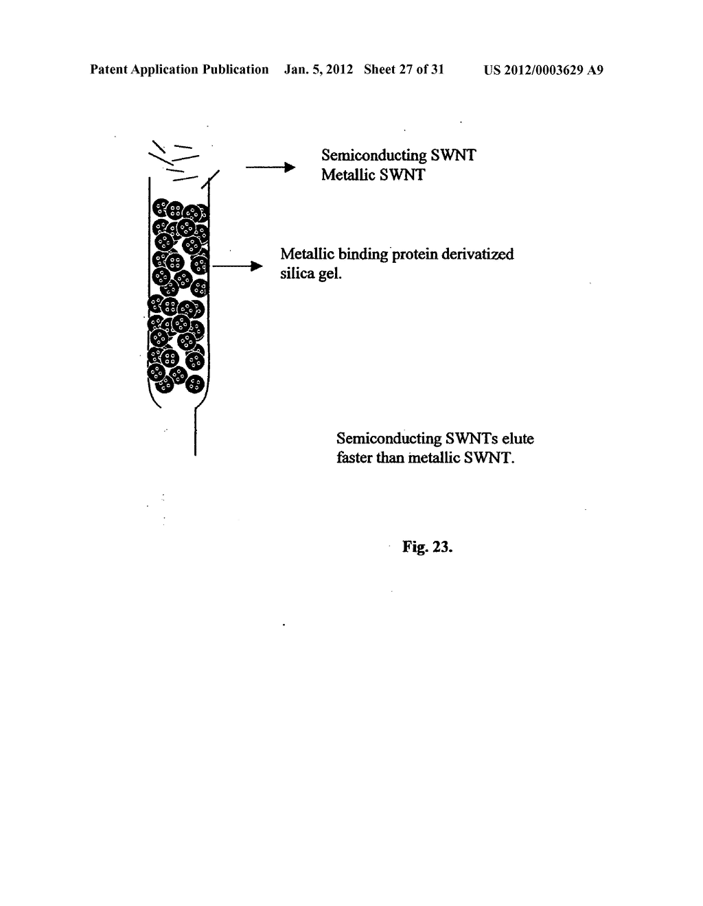 Biological control of nanoparticle nucleation, shape and crystal phase - diagram, schematic, and image 28