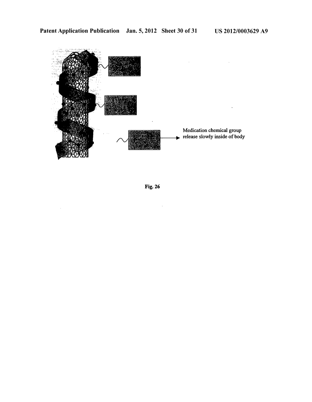 Biological control of nanoparticle nucleation, shape and crystal phase - diagram, schematic, and image 31