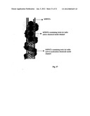 Biological control of nanoparticle nucleation, shape and crystal phase diagram and image