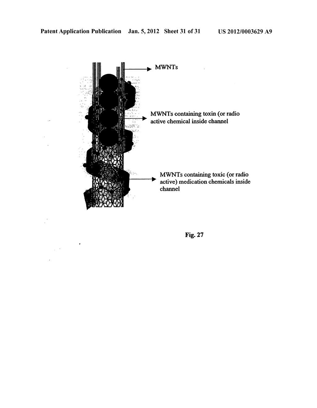 Biological control of nanoparticle nucleation, shape and crystal phase - diagram, schematic, and image 32