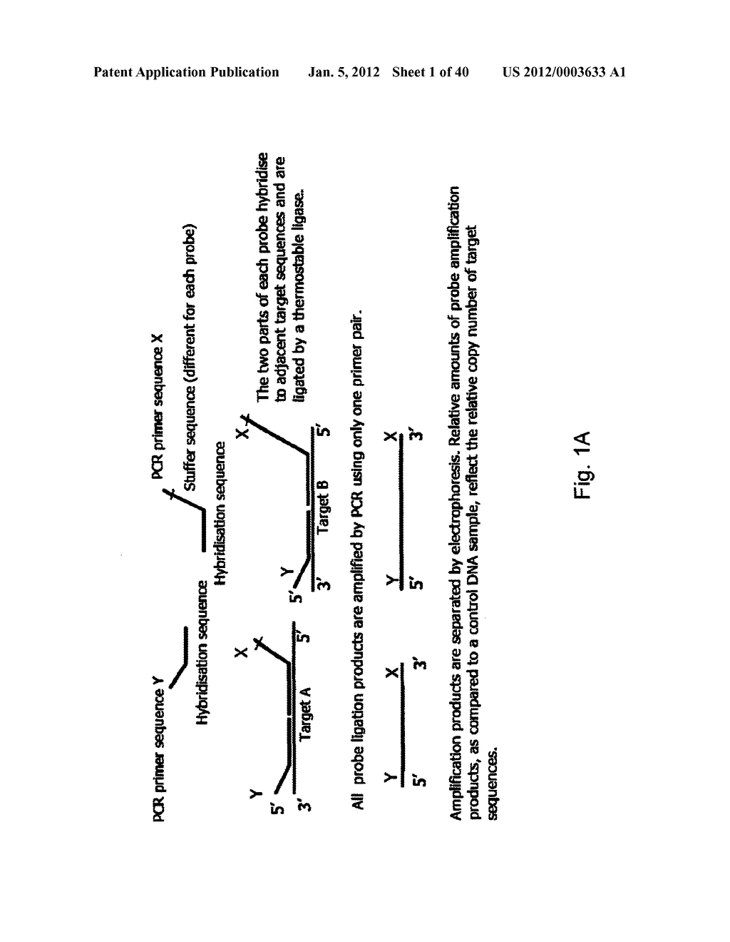 MEANS AND METHODS FOR INVESTIGATING NUCLEIC ACID SEQUENCES - diagram, schematic, and image 02