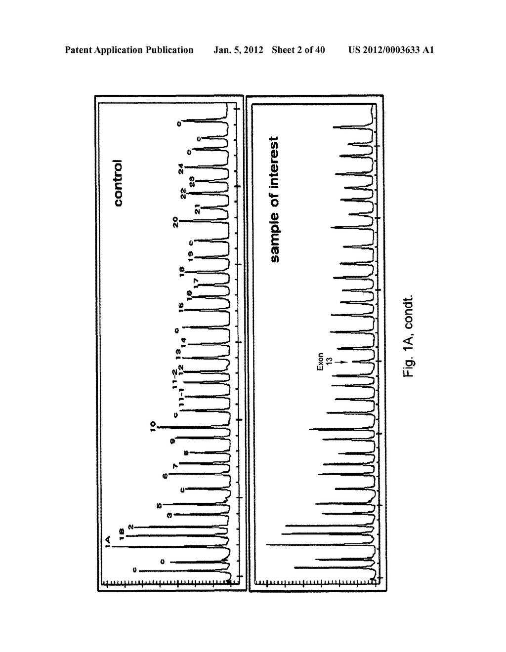 MEANS AND METHODS FOR INVESTIGATING NUCLEIC ACID SEQUENCES - diagram, schematic, and image 03
