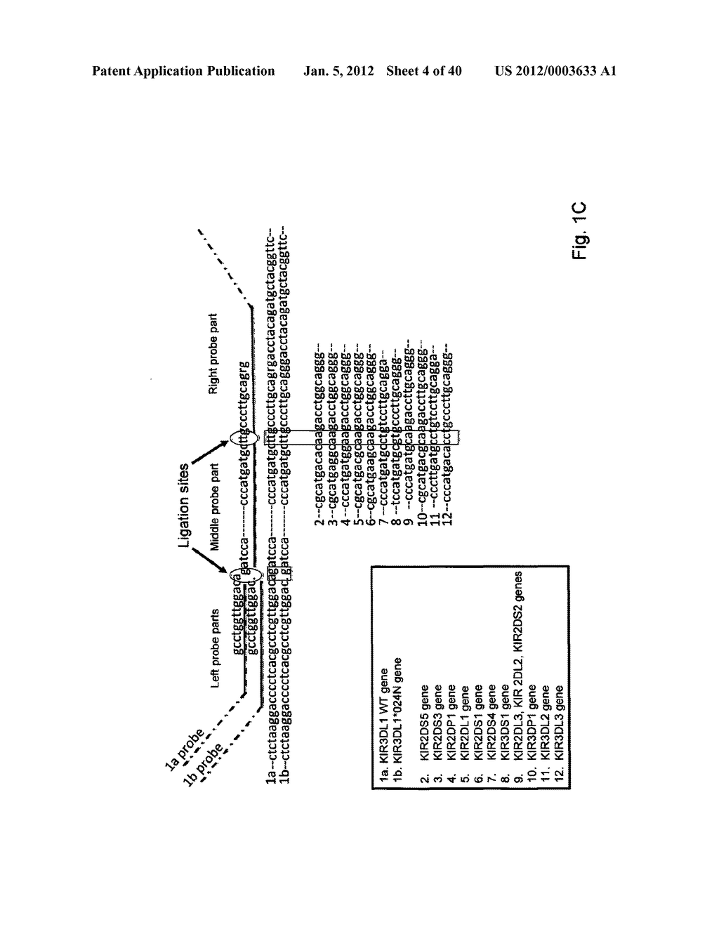 MEANS AND METHODS FOR INVESTIGATING NUCLEIC ACID SEQUENCES - diagram, schematic, and image 05