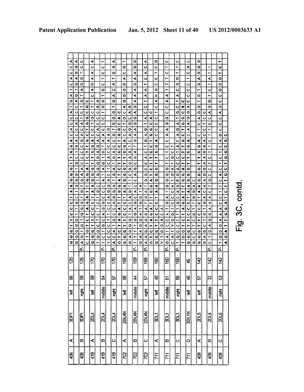 MEANS AND METHODS FOR INVESTIGATING NUCLEIC ACID SEQUENCES - diagram, schematic, and image 12