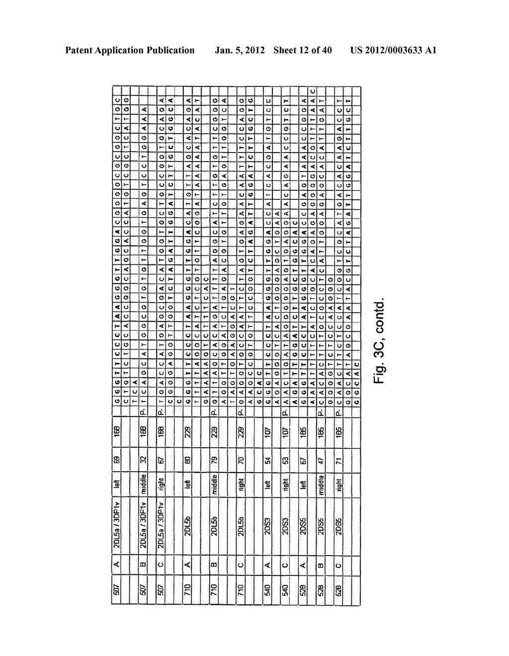 MEANS AND METHODS FOR INVESTIGATING NUCLEIC ACID SEQUENCES - diagram, schematic, and image 13