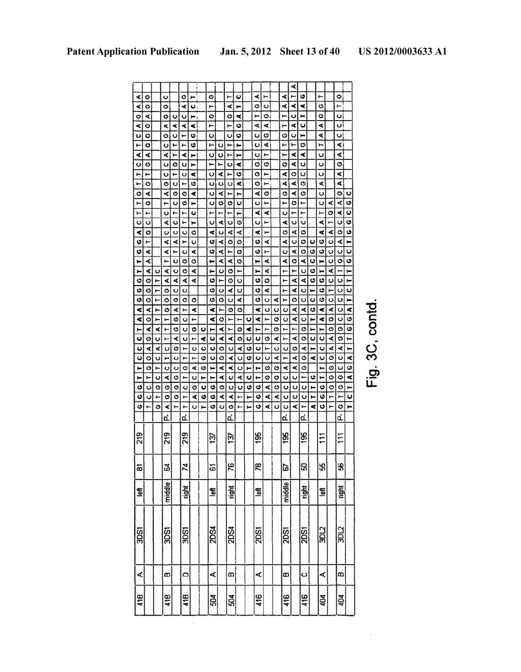 MEANS AND METHODS FOR INVESTIGATING NUCLEIC ACID SEQUENCES - diagram, schematic, and image 14