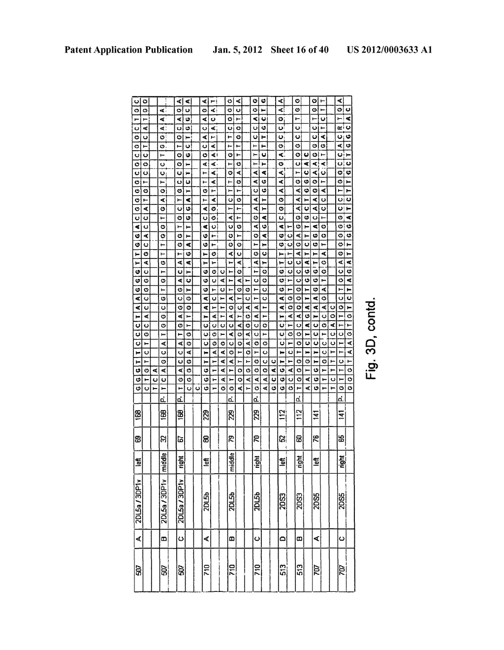 MEANS AND METHODS FOR INVESTIGATING NUCLEIC ACID SEQUENCES - diagram, schematic, and image 17