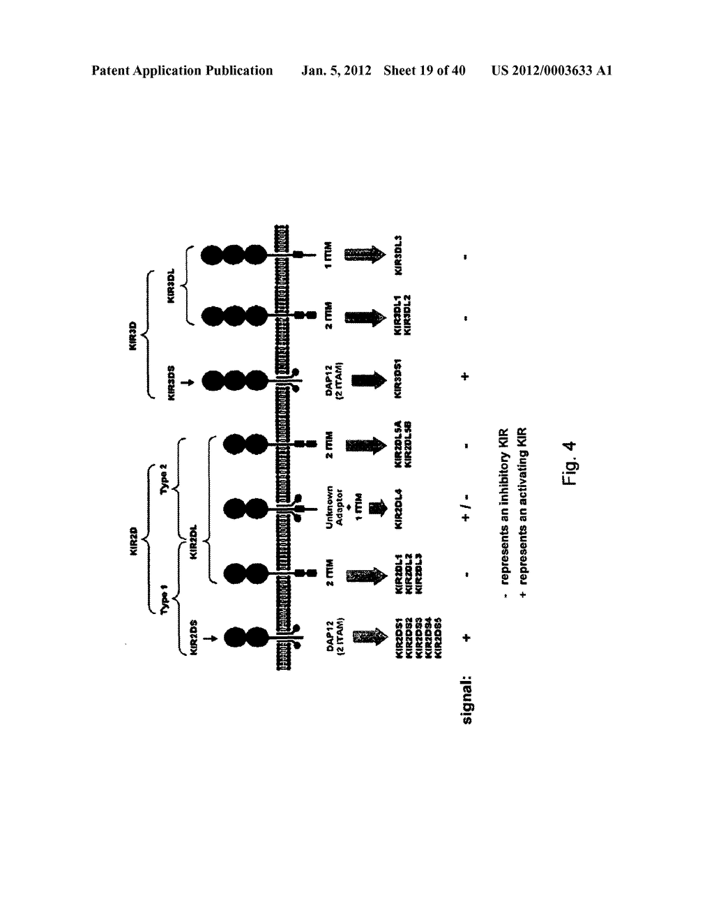 MEANS AND METHODS FOR INVESTIGATING NUCLEIC ACID SEQUENCES - diagram, schematic, and image 20