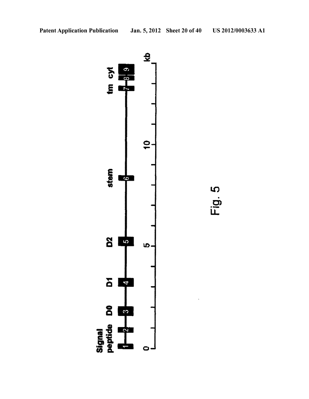 MEANS AND METHODS FOR INVESTIGATING NUCLEIC ACID SEQUENCES - diagram, schematic, and image 21